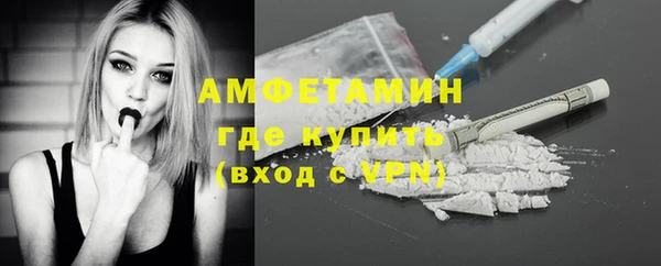прущие грибы Бронницы