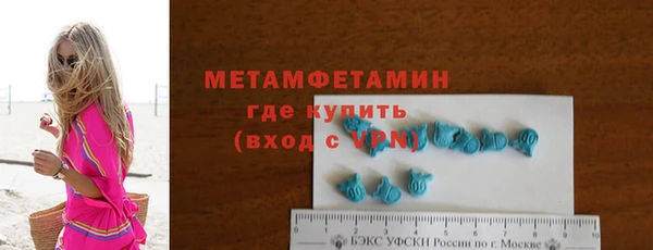 прущие грибы Бронницы
