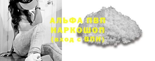 прущие грибы Бронницы