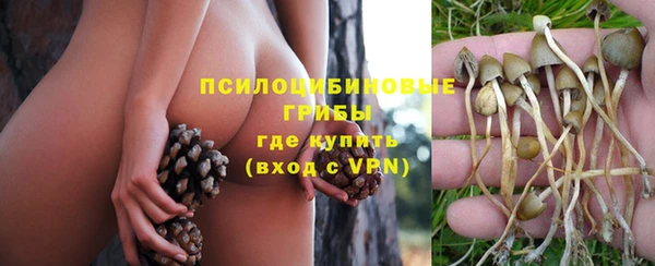 прущие грибы Бронницы