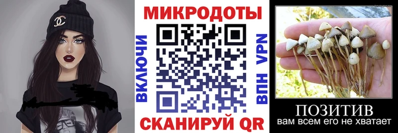 Псилоцибиновые грибы Magic Shrooms  Подольск 